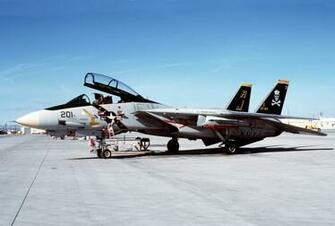 Tomcat Jolly Rogers Image Crazy Gallery