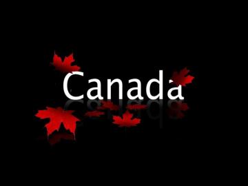 Canada Maple Leaves By Jamlx