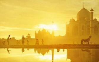 Million Dollar Arm Wallpaper HD