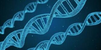 Microbiology HD Wallpaper Background Image Id