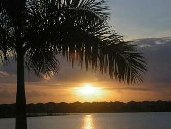 Homestead Fl Just A Pic Of The Beautiful Scenery Here In