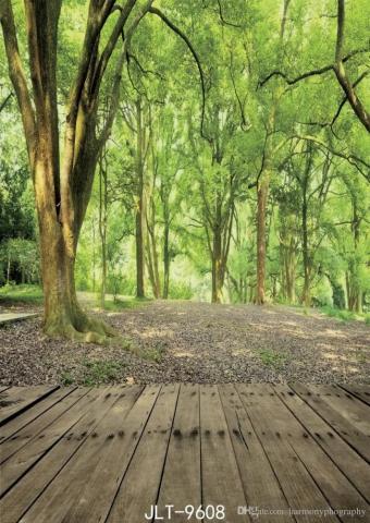Image Result For Photoshoot Nature Background Photography Studio