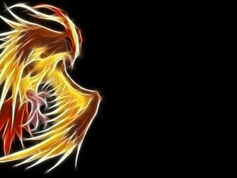 Pidgeotto Pokemon Anime HD Wallpaper Desktop