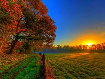 Autumn Field 4k Ultra HD Wallpaper Net