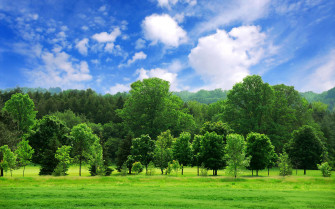 Beautiful Nature Photography Examples From Famous Photographers