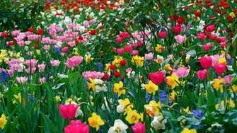 Hop Into Spring With Desktop Wallpaper For Springtime