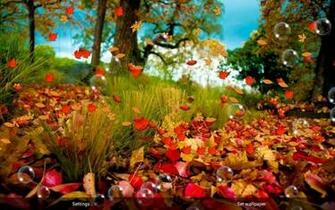 Autumn Live Wallpaper Android Apps On Google Play