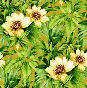 Wallpaper Walls Book Collections The Tropical