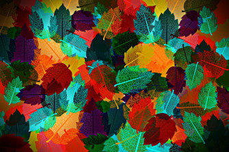 Vibrant Autumn Leaves HD Wallpaper