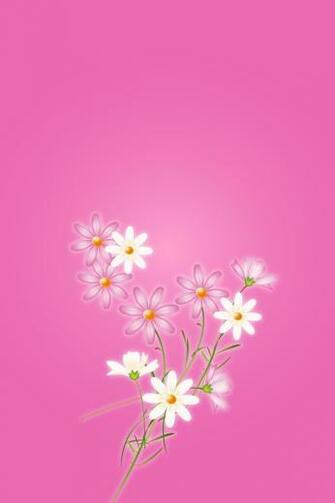 Pink Flower iPhone Wallpaper