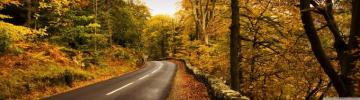 Autumn Road Ultra HD Desktop Background Wallpaper For 4k UHD Tv