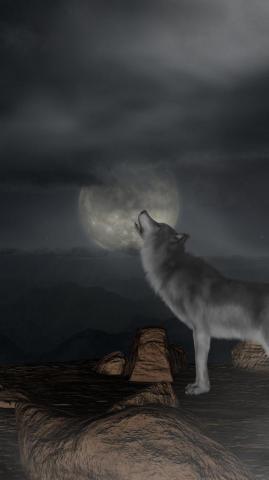 Wallpaper Wolf Howl Moon Full iPhone