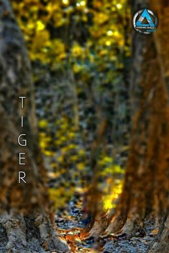 Related Image Sandeep Photo Background Image Studio