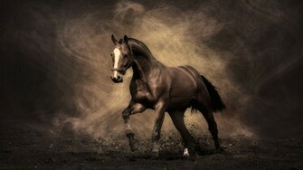 Wallpaper HD Arabian Racing Horse