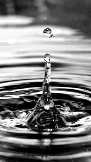 iPhone Wallpaper Black And White iPhone5 Gallery