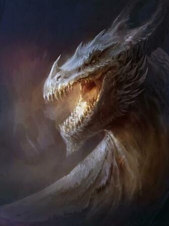 Dragon Head Wallpaper Full HD Quality