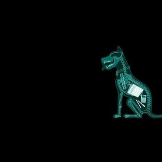 Dark Humor Dogs Funny Mathematics Xray Simple Background Black