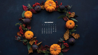 November Wallpaper Bies For Desktop Phones