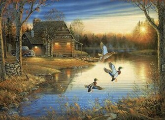 Hunting Dog Wallpaper