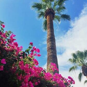 Palm Springs Image By Marine21 On Favim