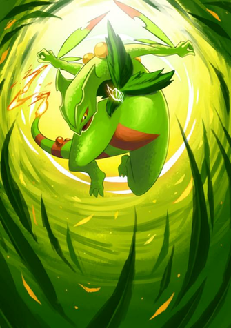 Mega Sceptile By Chirenbo