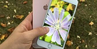 Turn Any Photo Into A Live Wallpaper On iPhone 6s And Plus