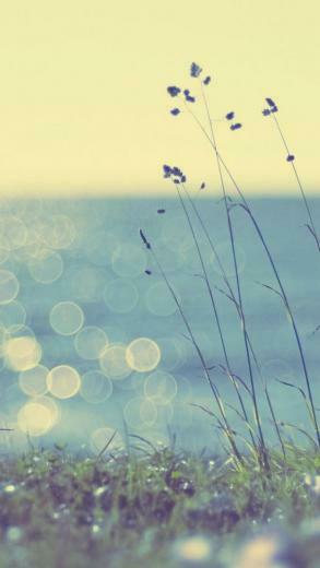 Girly iPhone Wallpaper
