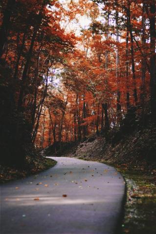 Fall Wallpaper HD Hq