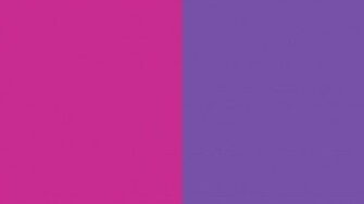 Royal Fuchsia And Purple Two Color Background