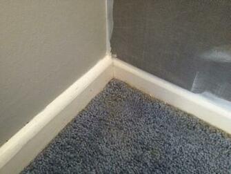 Residential Bedroom When Installed And Treated With Wallpaper On A