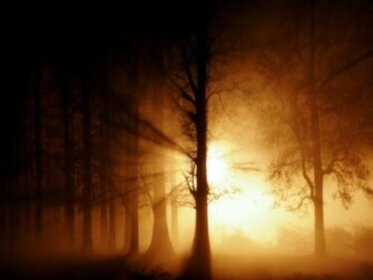 Called You Out Of Darkness Into His Marvelous Light 1peter Nkjv
