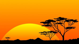 African Art Wallpaper