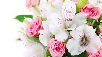 HD Beautiful Flowers Wallpaper And Photos Px By June