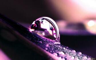 Purple Water Droplets Macro Nature HD Desktop Wallpaper