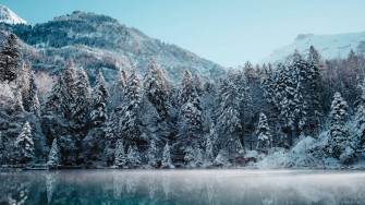 Winter Aesthetic Wallpaper