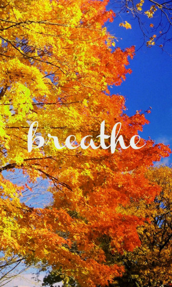 Top Autumn Phone Wallpaper Full HD 4k To Use