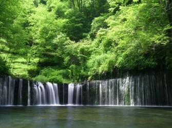 Most Relaxing Desktop Wallpaper This Mystical Forest