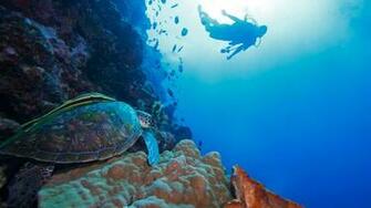Galapagos Islands Information Metropolitan Touring