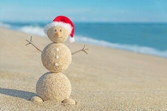 Tropical Christmas Cover On A Island