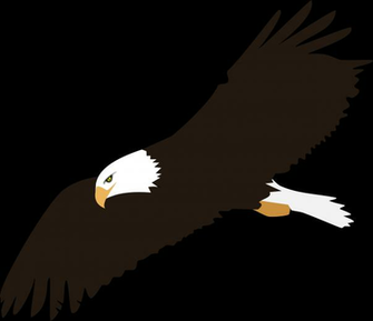 Soaring Eagle No Background Vector Graphics