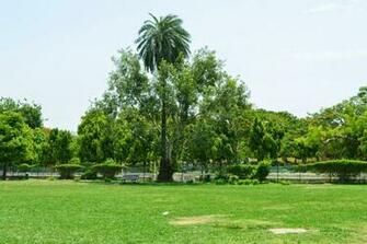 Garden Background For Photoshop Sanjay Photo World