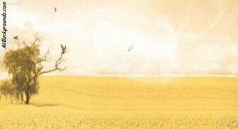 Calm Background Myspace
