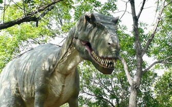 Tyrannosaurus Wallpaper