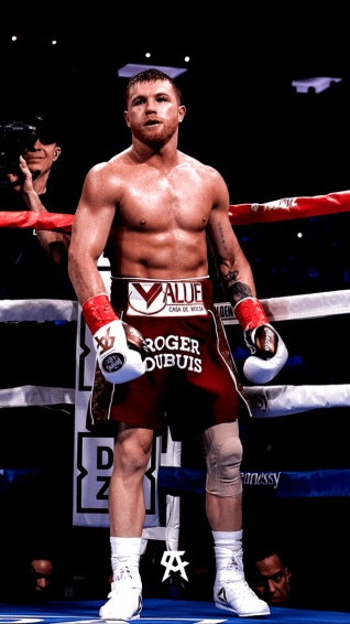 Canelo Alvarez Wallpaper Deporte De Combate Fotos Boxeo