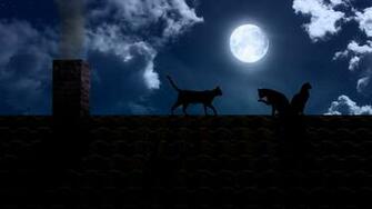 Night Dark Moon Full Roof Pipe Cats Black HD Wallpaper