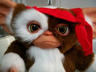 Gremlins Gizmo Wallpaper