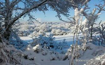 Winter Snow Screensavers And Background