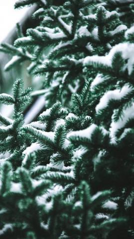 Cute Christmas Wallpaper For A Festive Mood Archziner