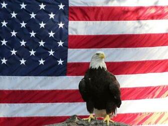 Bold Eagle And American Flag By Chowen2001