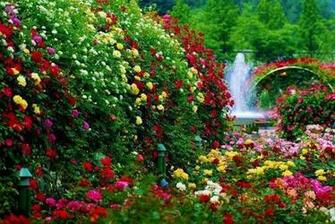 Wallpaper High Resolution Desktop Nature